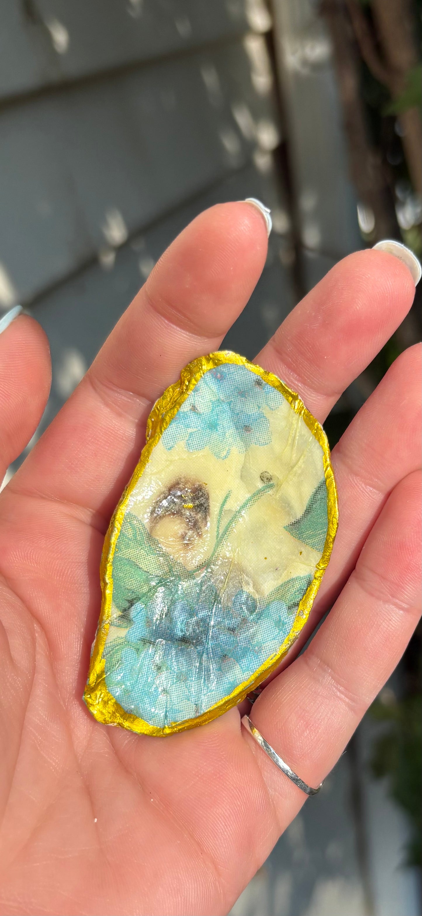Hydrangea Oyster Trinket