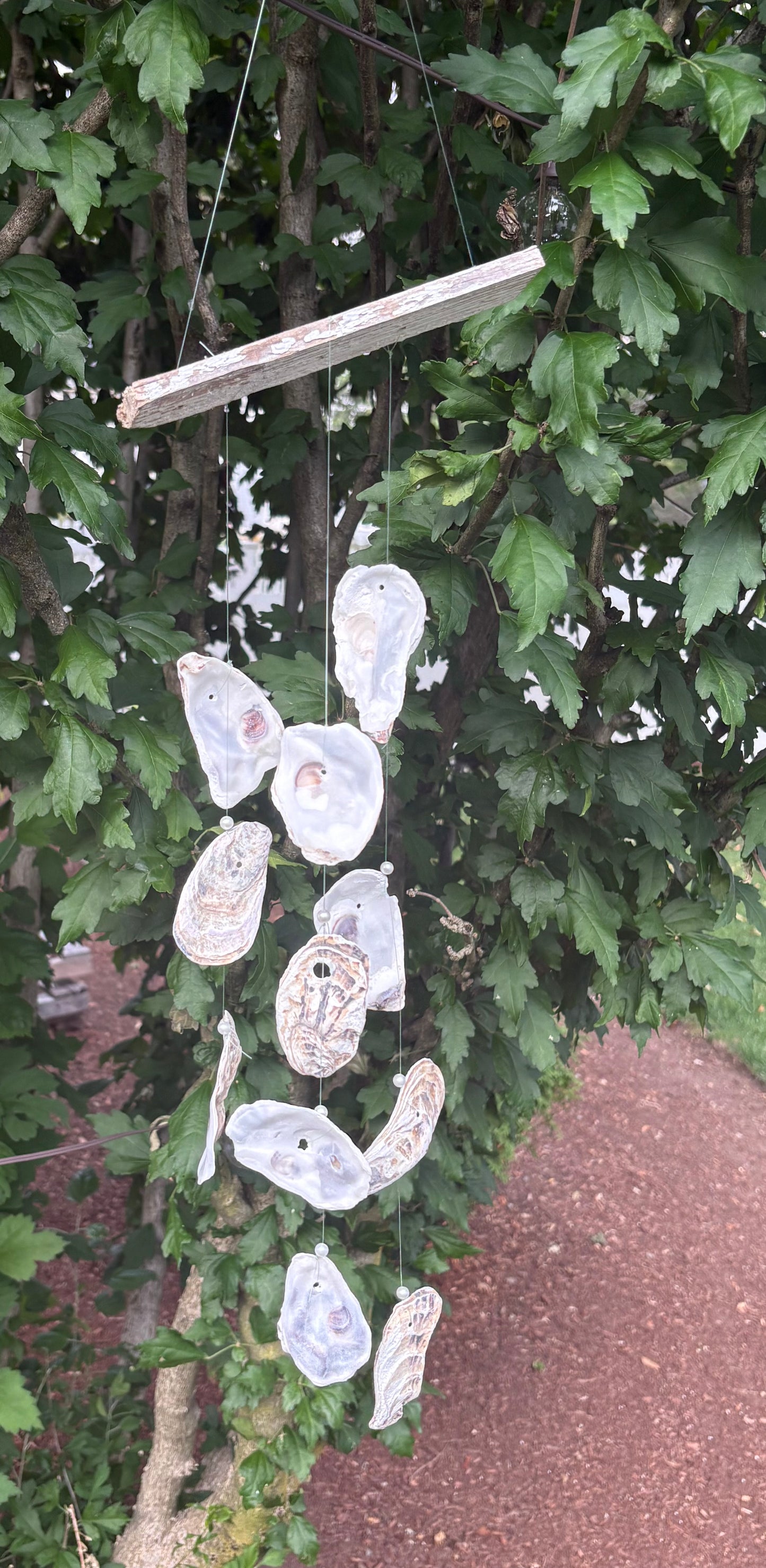 Handmade Oyster and Drift Wood Windchime