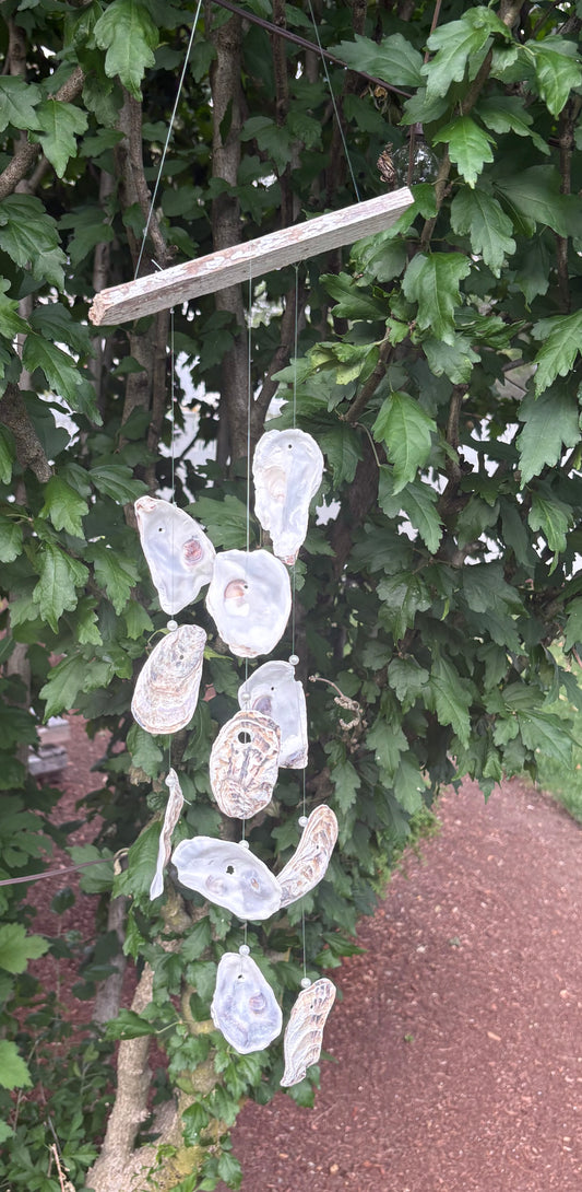 Handmade Oyster and Drift Wood Windchime