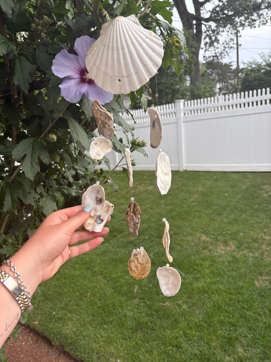Oyster and Scallop Windchime
