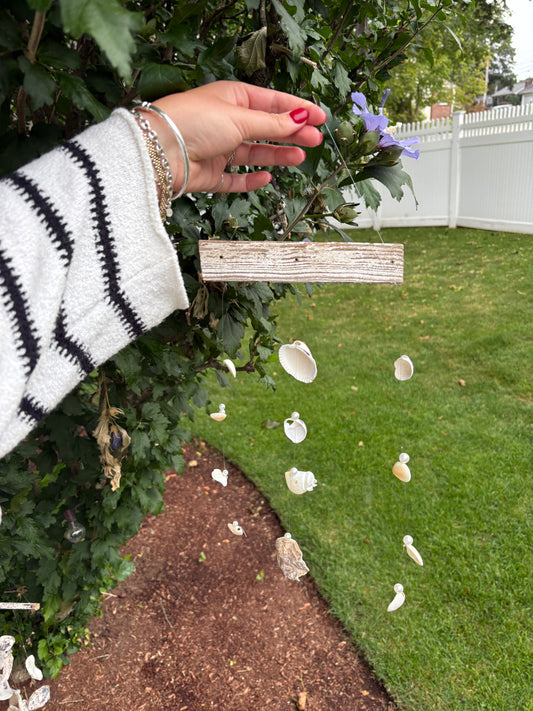 Cape Cod Shell Windchime