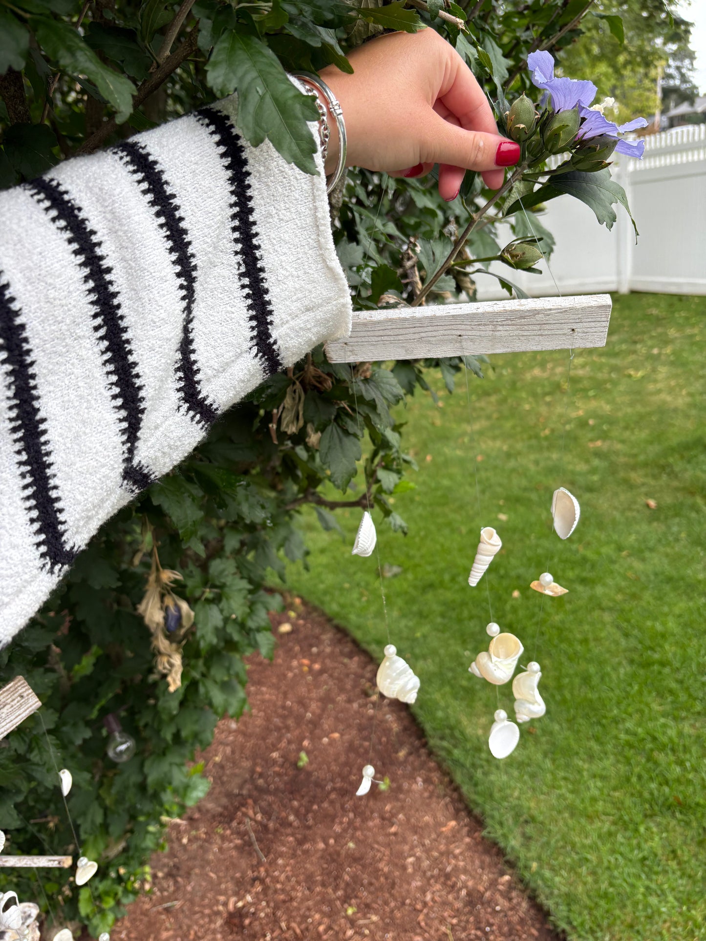 Shell and Driftwood Windchime